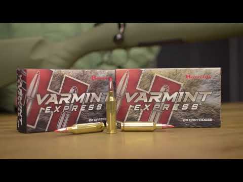 Hornady .17 HMR 17gr Hornady V Max 50rd image 6