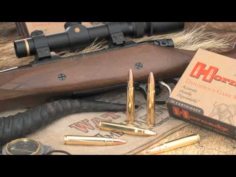 Hornady .450-400 Nitro Express 400gr DGX Bonded 20rd image 6