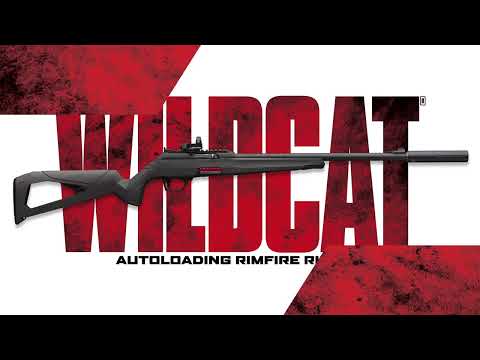 Winchester Guns Wildcat .22 LR 16.5" 10RD Rifle, Tungsten image 7