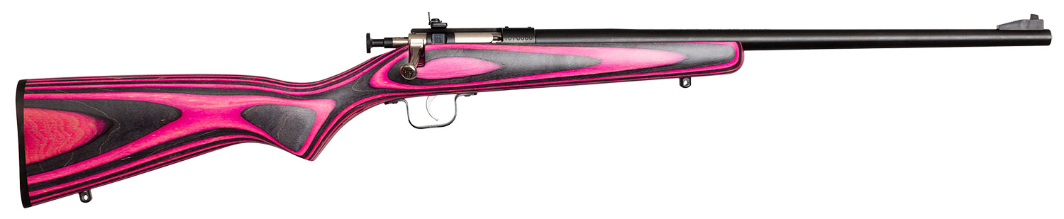 Crickett Laminate Youth .22 LR 16.12" 1RD Rifle, Stainless image 1