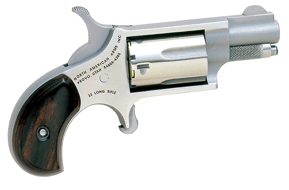 NAM MINI-REV 22LR 1.125SS MATT image 1