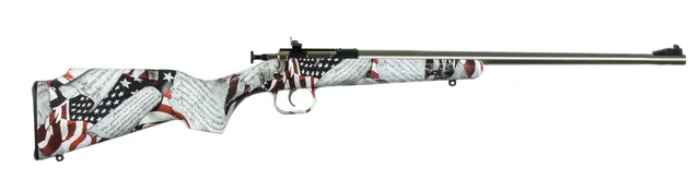 Crickett Synthetic Youth .22 LR 16.12" 1RD Rifle, Stainless