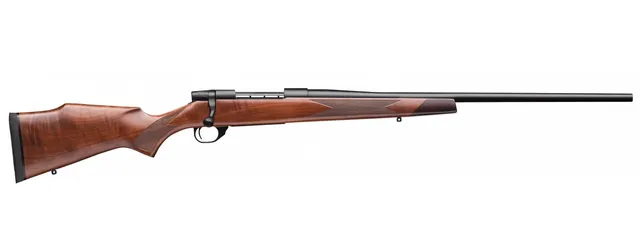 WBY VGD S2 SPRT BA 22-250 24TB