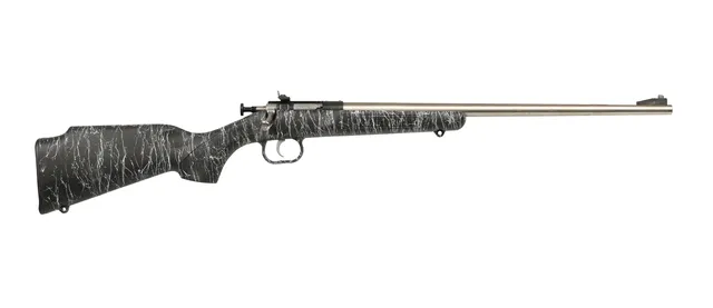 Crickett Gen2 Crickett .22 LR 16.13" 1RD Rifle, Stainless