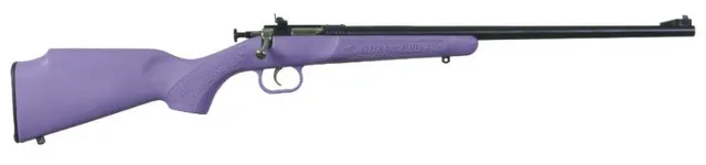 Crickett Synthetic Youth .22 LR 16.12" 1RD Rifle, Blue 611613023067
