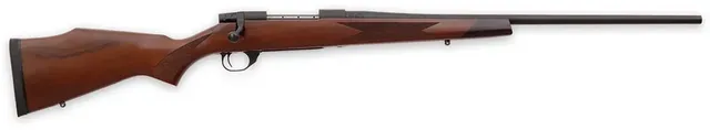 WBY VGD S2 SPRT BA 22-250 24TB