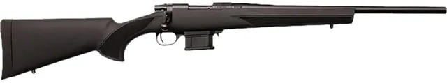 Howa 1500 .22 ARC 22" 5RD Rifle, Blue