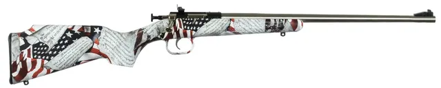 Crickett Synthetic Youth .22 LR 16.12" 1RD Rifle, Stainless