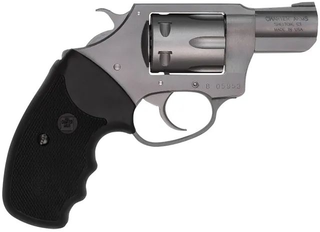 Charter Arms Standard Pathfinder .22 LR 2" 8RD DA/SA Revolver, Stainless Steel