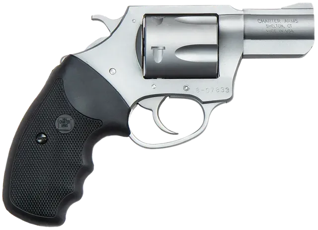 Charter Arms Pitbull 9mm Luger 2.2" 5RD DA/SA Revolver, Stainless Steel